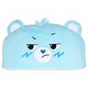 Care Bears Grumpy Bear Sleeping Bag