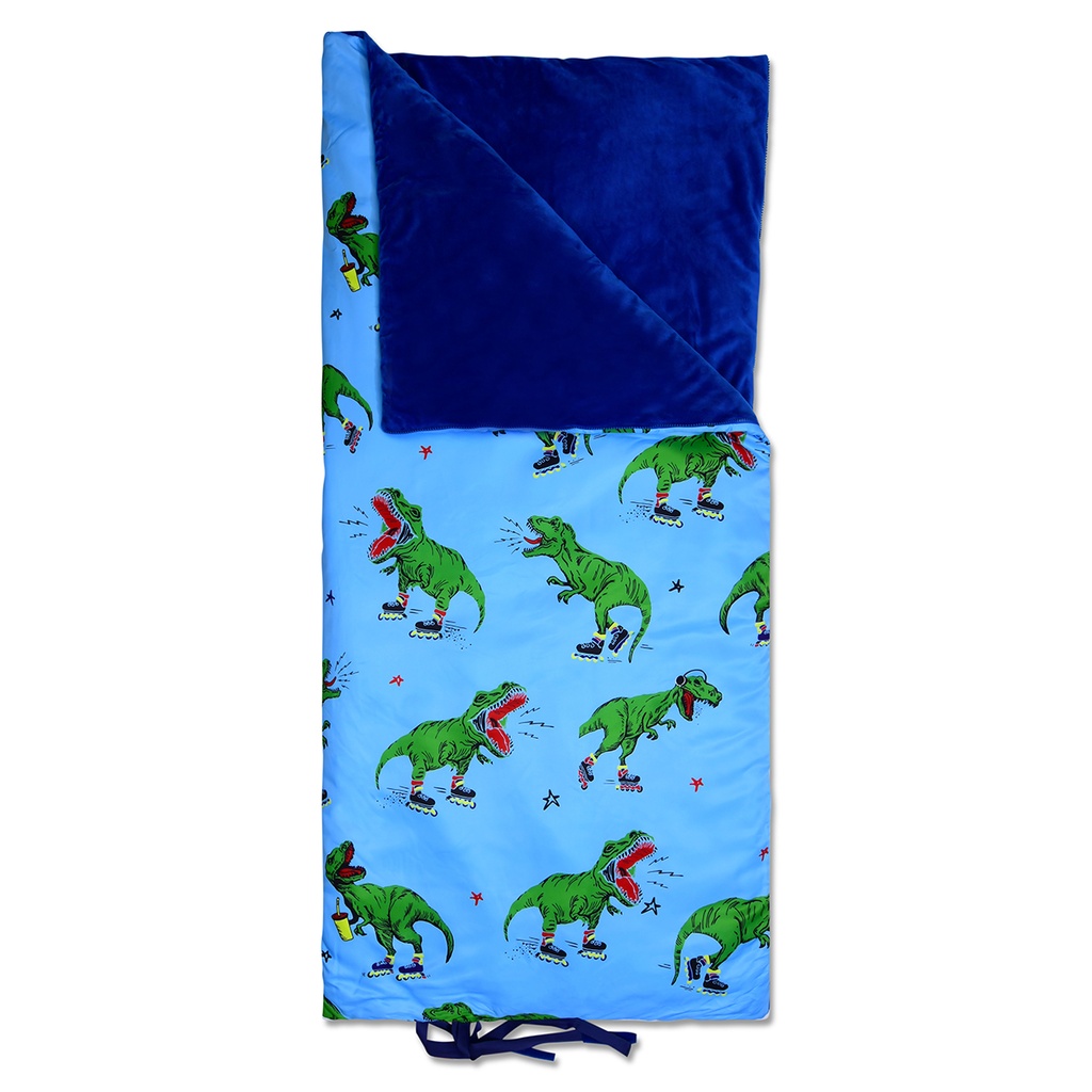 Skating Dinosaurs Sleeping Bag