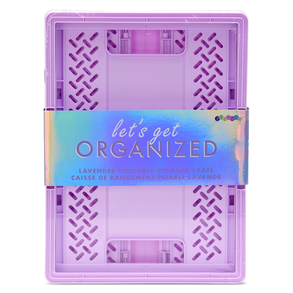 Large Lavender Foldable Storage Crate